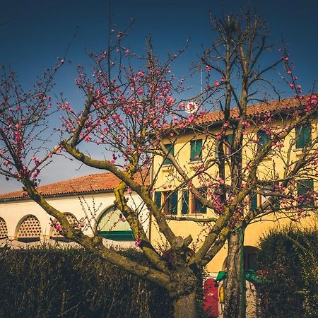 Vila Le Vigne Morosina Cessalto Exteriér fotografie