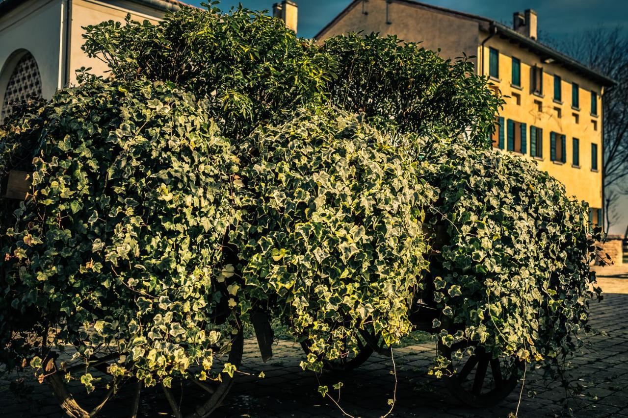 Vila Le Vigne Morosina Cessalto Exteriér fotografie