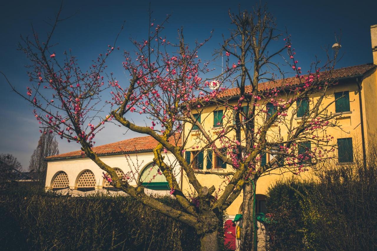 Vila Le Vigne Morosina Cessalto Exteriér fotografie
